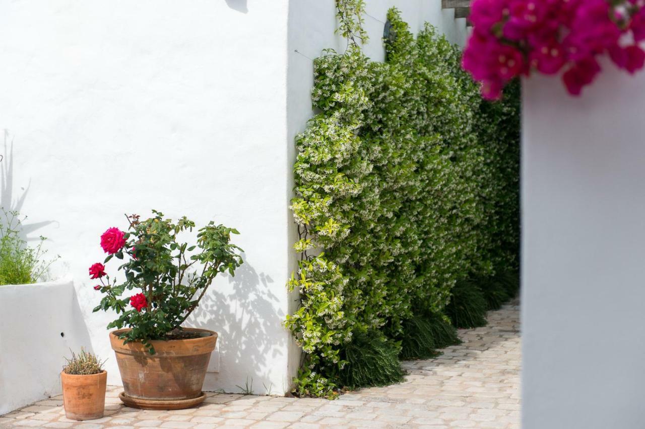 فندق Coliving Add Livitum ثيوداديلا المظهر الخارجي الصورة