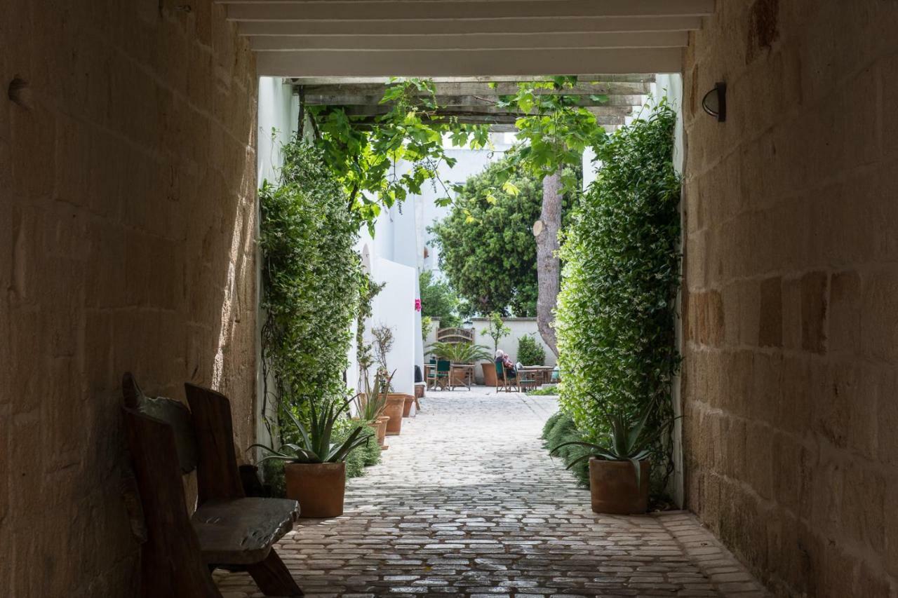 فندق Coliving Add Livitum ثيوداديلا المظهر الخارجي الصورة